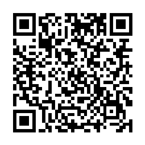 转头看着我痴痴的仰头望着那把已经有些绿锈的铜锁二维码生成