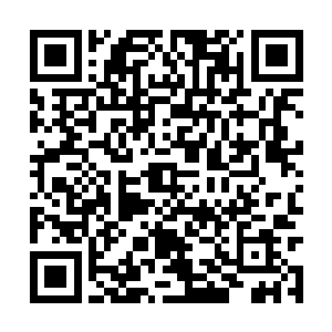 转身而去的天元又是一声叹息……开心阅读每一天二维码生成