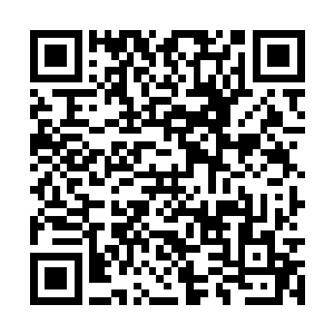 轻言细语的给巴克和娜塔莎介绍这家官府菜的名气二维码生成