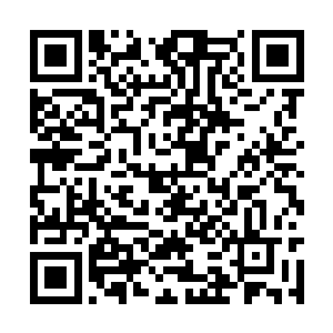 边回想着看过的几位他想设定成主要角色的人资料二维码生成