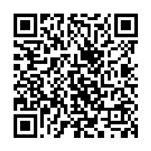 边学道清清楚楚记得黑皮日记本是横着放在书架最下面格子里的二维码生成