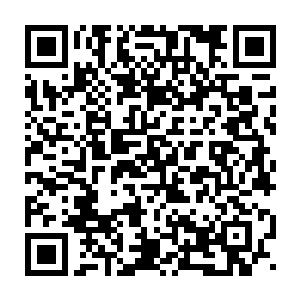 迅腾网在科技板块最先公布的三张关于王世子的照片自然也跟着红了二维码生成
