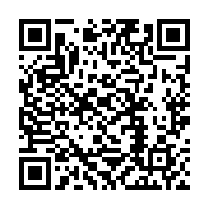 过了一会倒是看到莫小鱼和龙幼萱从隔壁大院出来了二维码生成