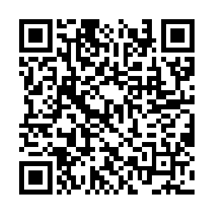 过了十五就去明珠到时候我会安排他们去日本上船二维码生成
