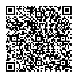 运气差一些的直接被那飞溅而来的巨石砸的伤痕累累的^……火鼋兽的怒火可不是那么好承受的二维码生成