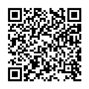 运河县要防止由于污染造成的呼吸系统疾病的爆发二维码生成