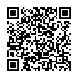 还不是看在楚芸萱的份上……若是没有这一层关系的话二维码生成