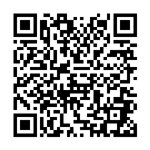 还不zhidào有多少牺牲了骑士的家族正在愁云惨雾二维码生成