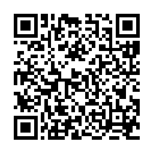 还专门带了花来看你……只可惜这些小花没能留到最后二维码生成