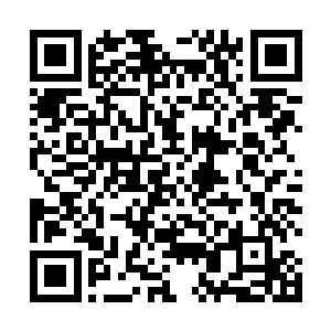 还准备了一张数额足以令全世界的医生名家心动的支票二维码生成