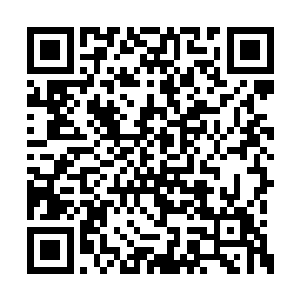 还在琢磨小何护士是不是和张生走的太近的时候二维码生成