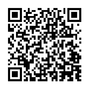 还带走了二十三名白角族和……他们十年所需的生活费二维码生成