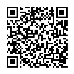 还得从师侄刚来到这个通玄大陆没多久说起……二维码生成