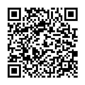 还插手到以往经纪公司进入不了的电影收益分成之中二维码生成