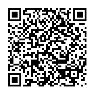 还无法奢侈地从各个兵团抽调团长级的机甲师去250机甲团当一个小兵二维码生成