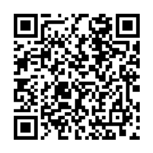 还是会成为像是陌路离殇那种被集体嫌弃的倒霉蛋二维码生成