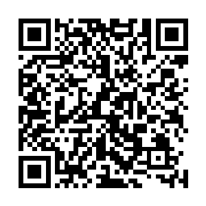 还是将生的机会先给了他――楚清狂曾经和雷圣一起陷害你二维码生成