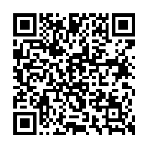 还是感慨于自己的生命从此刻开始便将归于寂寞二维码生成