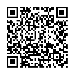 还是提拔皇上信任的妃嫔册封……到底如何甄选二维码生成