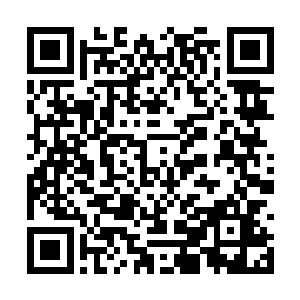 还是派出了黑鲨妖王这一感应能力超强的家伙出来二维码生成