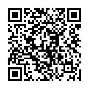 还是立即便听到了里面传来了一声声的训练发出的声音二维码生成