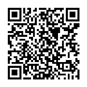 还有一个办法就是用你身上的圣莲能够修复我的源气二维码生成