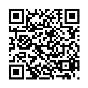 还有一些年龄已经不小的小极宫门人二维码生成