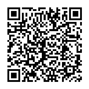 还有一种老太太爱小情郎的微妙尴尬……她的心理年龄已经越来越大了二维码生成