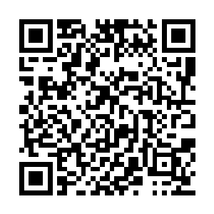 还有一边打着瞌睡的小穹和他肩膀上蹲着的卡卡二维码生成