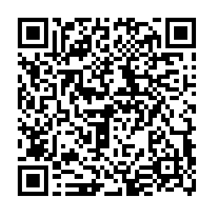 还有些紧张的弗兰西斯的老爸和老妈发现车上也有几个和自己年纪差不多的人二维码生成