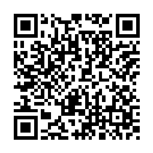 还有什么身份比学生身份更能够获得别人的信任二维码生成