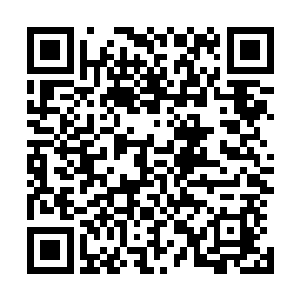 还有其他两种提高筑基后期修为的丹药也被刻入了玉简之内二维码生成