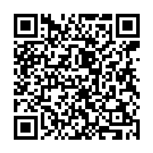 还有剩下的被折腾的连惨叫的没了力气的宠物们的变化二维码生成