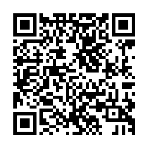 还有显然是随身携带无聊时解闷的游记都放在柜子里的包袱中二维码生成