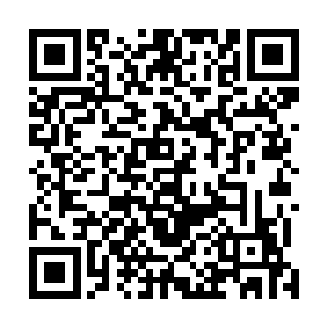 还有相依为命的本命道侣……曾经的母亲现在的女儿琼阳二维码生成