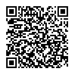 还有站在角落里等候安排的那几个太监宫女全都吓得倒抽了一口气二维码生成