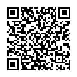 还没有学历―――上次不就是因为没学历被学校给赶出去了吗二维码生成