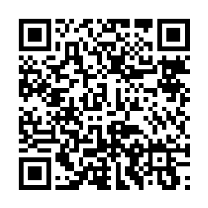 还没有跟这种年纪孩子打交道经验的巴克使劲挠头二维码生成