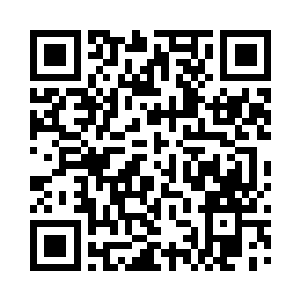 还真的有人送来了许许多多各种各样的花灯二维码生成