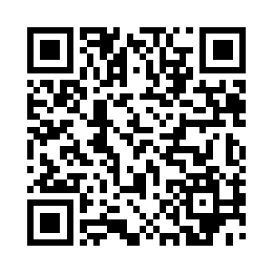 还答应了蓝蓝要到燕京后带她去看大象的二维码生成