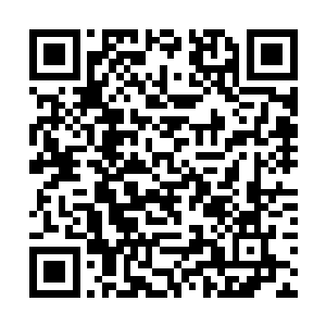 还能等到下一个100年有有缘人能够取出这七色采莲吗二维码生成