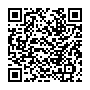 还要借这个契机带动苏谯社会经济事业进一步发展二维码生成