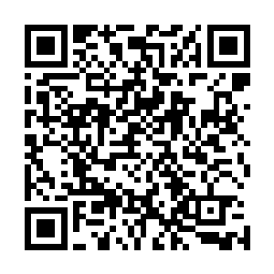 还请大小姐看在二小姐重伤在身心绪难平的份上莫与她计较二维码生成