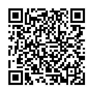还这么毫无顾忌的停留在这里一副有恃无恐的样子二维码生成