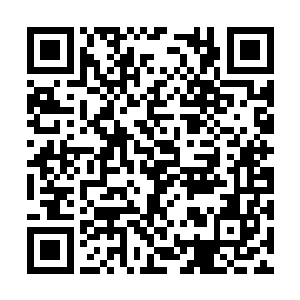 这一刻王贺对自己先前挑衅秦宇的举动感到了后悔二维码生成