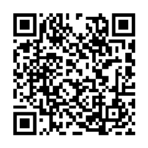 这一声对不起好像并不是为了和叶飞燕订婚而说的二维码生成