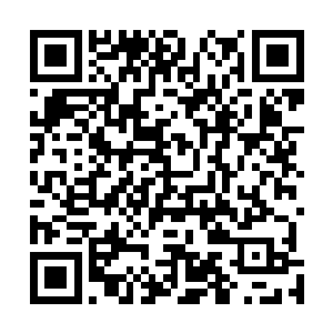 这一把排在陈诚对面的pawn和dandy绝对都属于世界顶级选手二维码生成