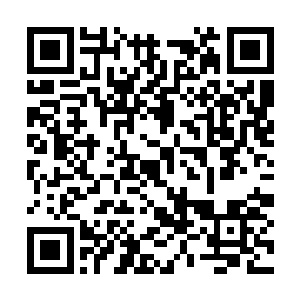 这一招是杨风借鉴血魔女的夺命血莲所创造出来的二维码生成