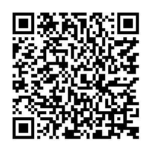 这一条弧线可是杨晨动用了本命算器全部计算力计算了整整三个小时才得出来的二维码生成