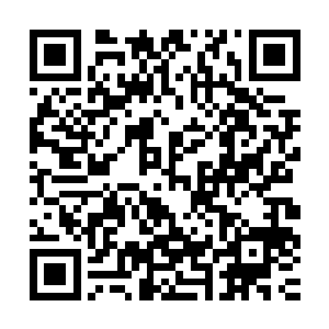 这一次他才有心思稍微留意一下周围观众的反应――和他差不多二维码生成